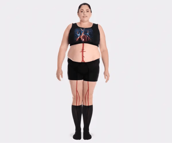 Animation showing blood circulating from legs back to the heart